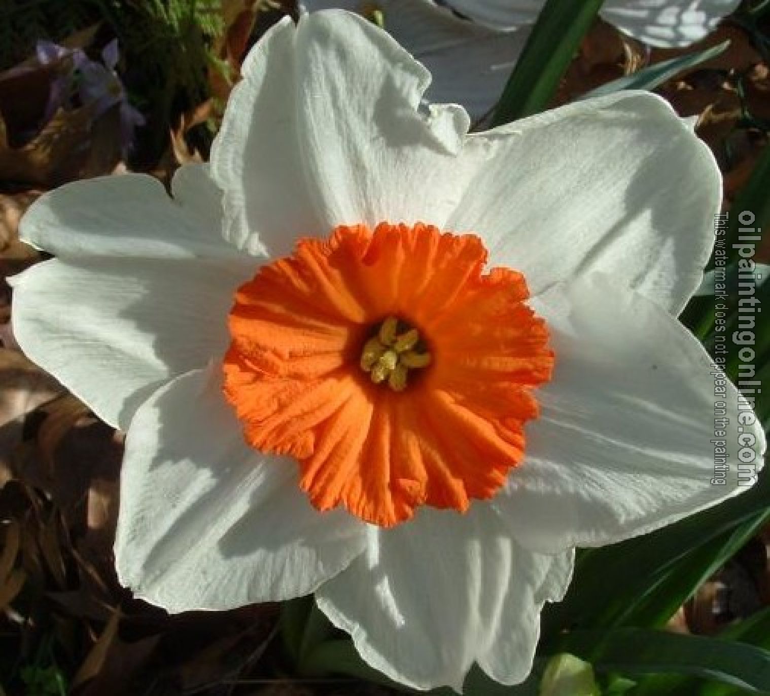 Oil Painting Reproduction - oil painting gallery